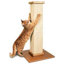 CATS: SUPPLIES