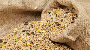 BIRD: FEED & SEEDS