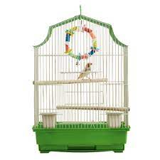 BIRD: SUPPLIES
