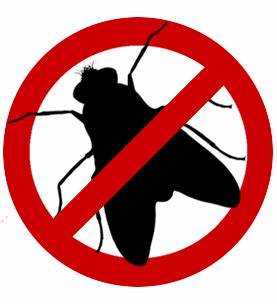 FLY & INSECT CONTROL
