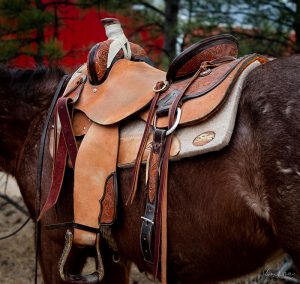 HORSE: SADDLES