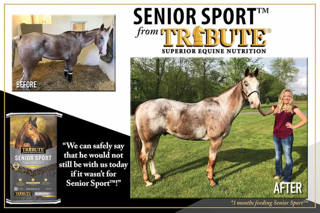TRIBUTE Senior Sport® 50 Lbs