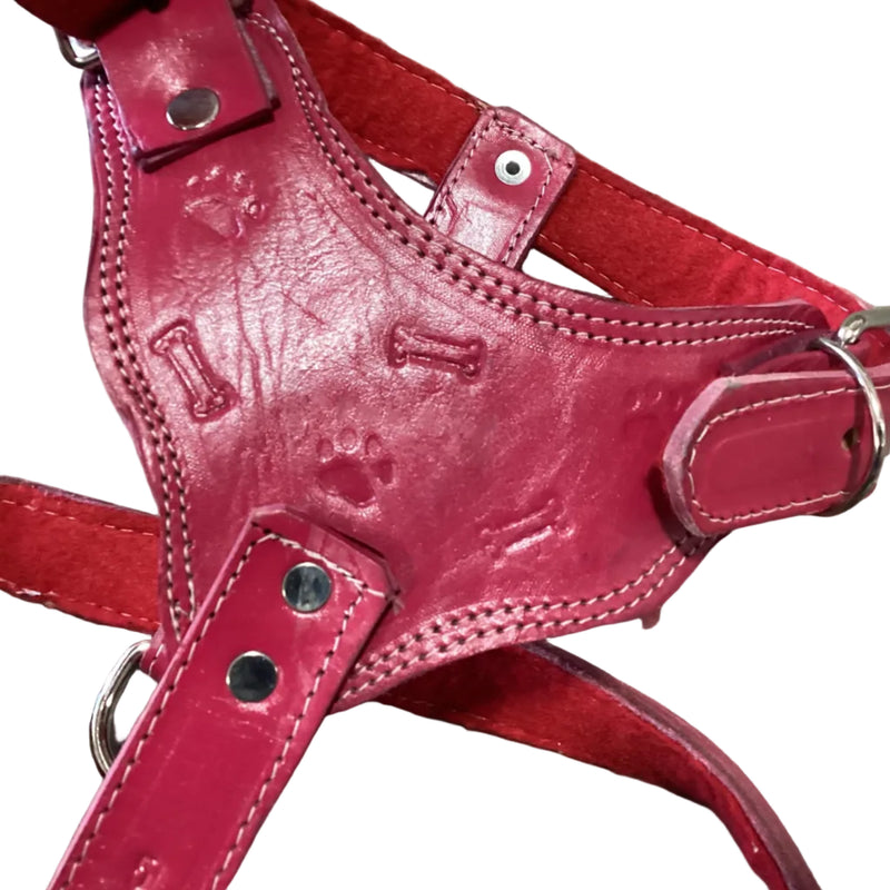 Leather Harness - Pechera de piel