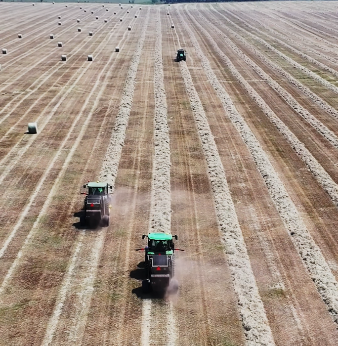 HAY ZAPATA - Coastal Bermuda Hay / Paca de Zacate