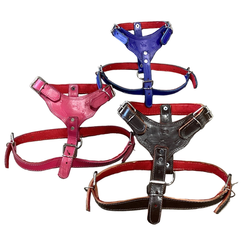 Leather Harness - Pechera de piel