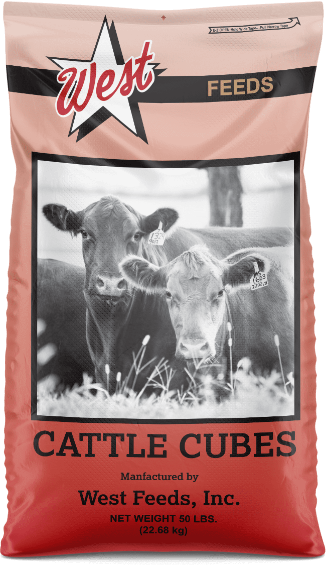 WEST Cattle Caller Economy Cube 12% Mascarrote