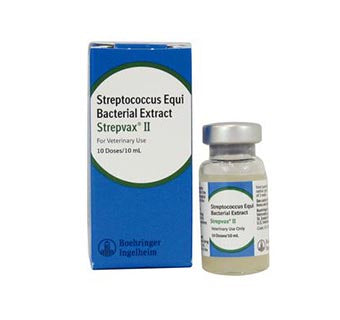 Strepvax II - 10 ML (10 doses)