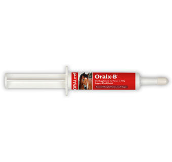 ORALX-B VITAMIN B COMPLEX PASTE - 34GM SYRINGE