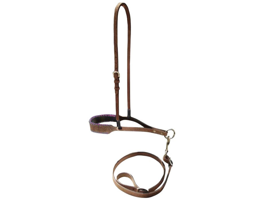 Showman ® Leather noseband and tiedown with colorful rawhide lacing on nose.