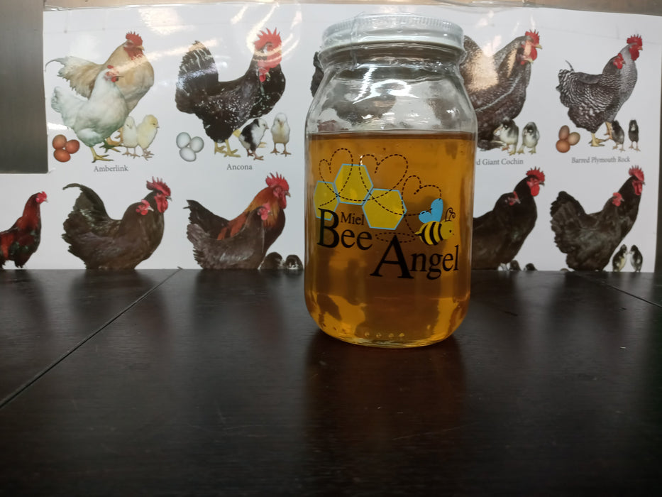 Bee Angel: All-Natural Honey - Miel Mediano 500gr