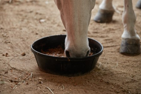 Purina® SMALL EquiTub™ with ClariFly® 55LB COOKED TUB