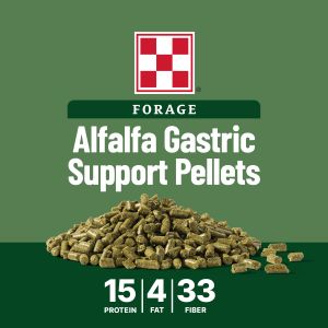 Purina® Forage Alfalfa Gastric Support Pellets 40 Lbs