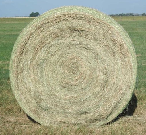 LC ROUND COASTAL HAY BALES (ZAPATA)