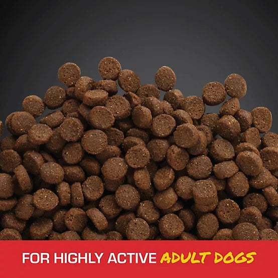 Sportmix Energy Plus Adult Performance Mini Chunk Chicken Recipe Dry Dog Food, 50 lb. Bag
