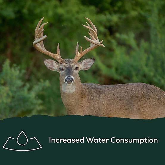 Record Rack 30 lb. BAM Big Antler Deer Mineral Block