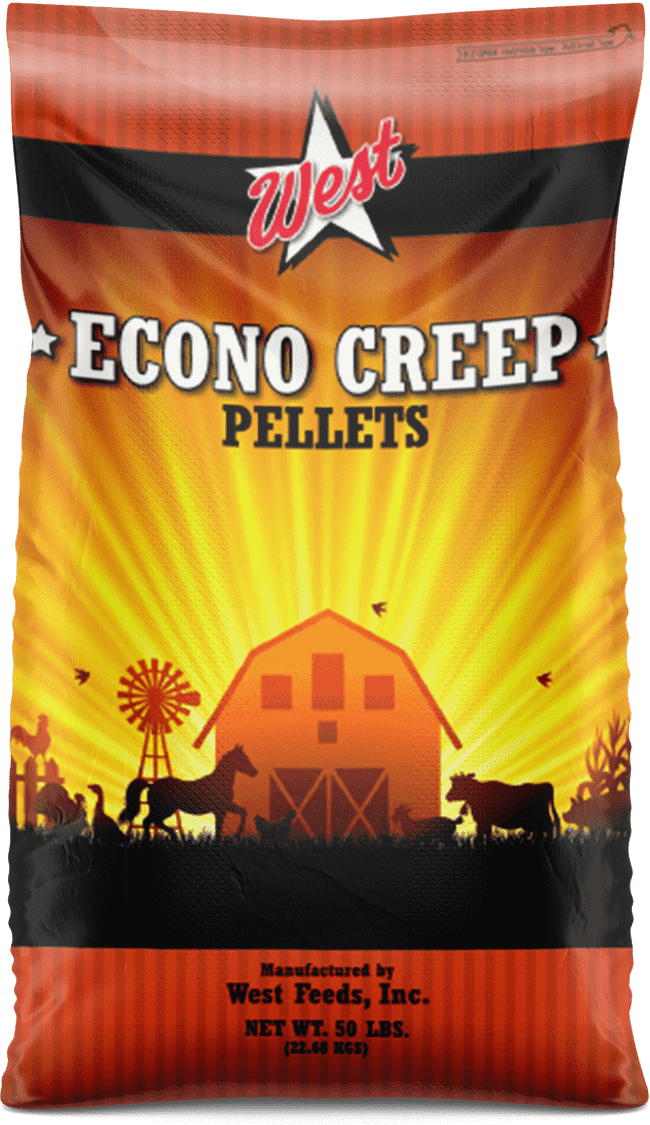 West ECONO CREEP 3/8” 14% - 50 LB