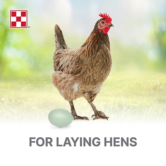 Purina Layena Layer Crumbles Chicken Feed
