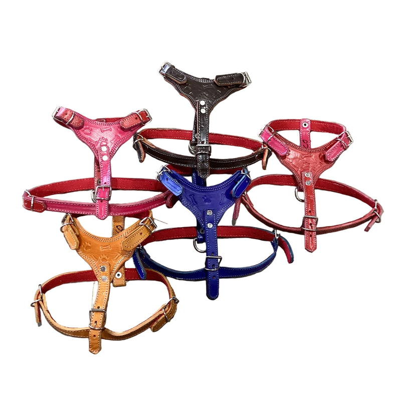 Leather Harness - Pechera de piel