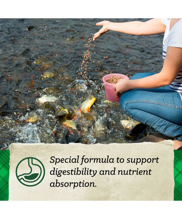 Nutrena Fish Floating Pond & Catfish Food  40 Lbs