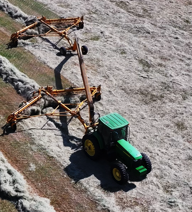 HAY ZAPATA - Coastal Bermuda Hay / Paca de Zacate