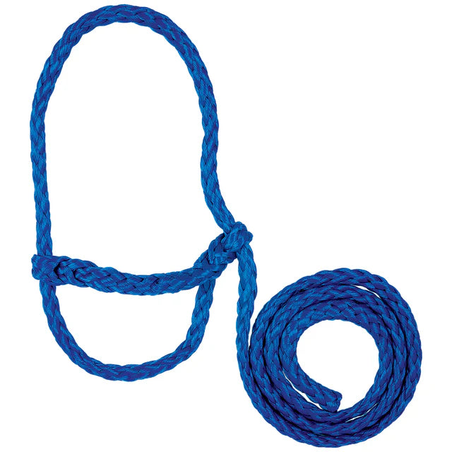 Poly Rope Halter-BLUE