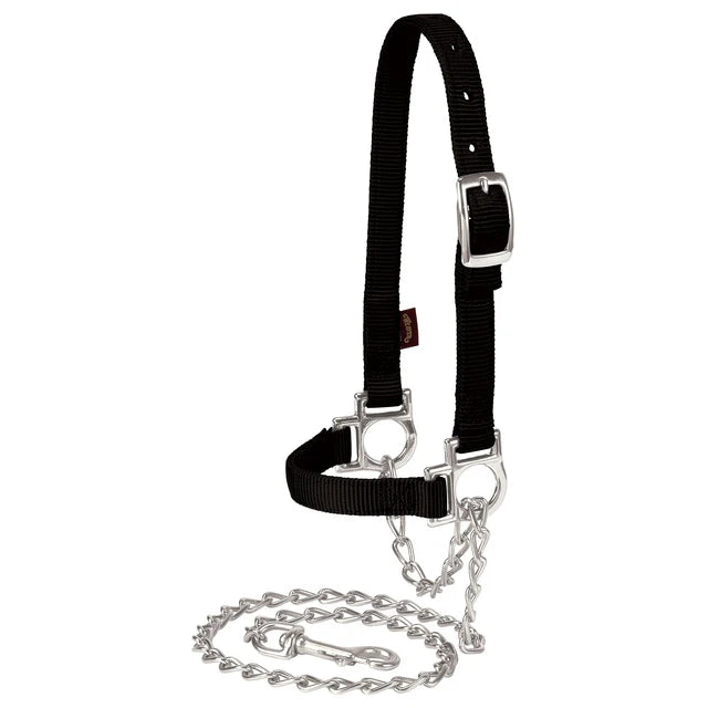Nylon Adjustable Sheep Halter with Chain Lead-BLACK