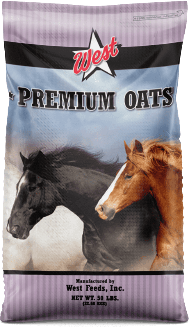 WEST Premium Whole Oats - 50 LB (Avena Entera)