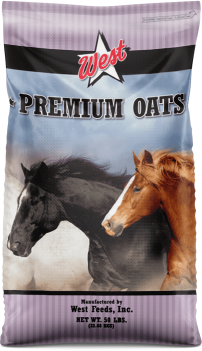 WEST Premium whole Oats - AVENA ENTERA