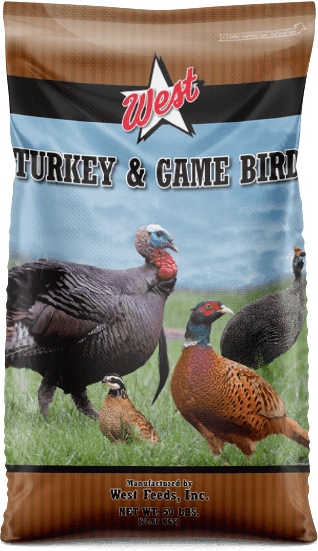WEST Turkey & Game Bird Starter Crumbles 28% - 50 LB (Guajolotina)