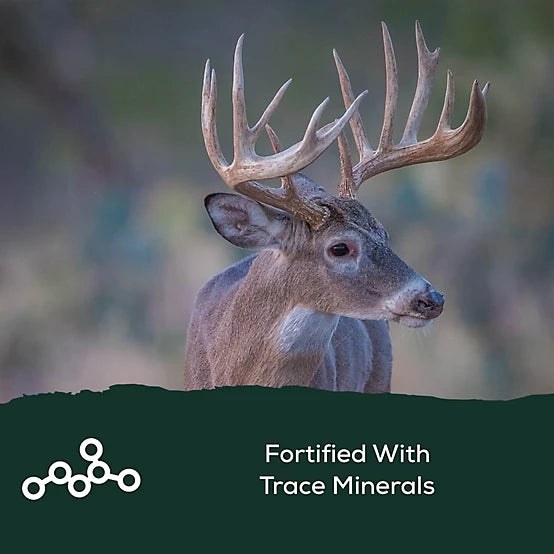 Record Rack 30 lb. BAM Big Antler Deer Mineral Block