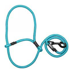 Sheep Halter with Snap Lead - Teal (Blue Tide)
