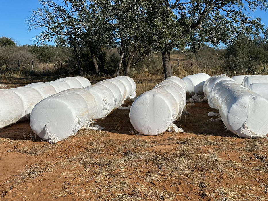 COTTON SEED BALE 1000 LB Avg