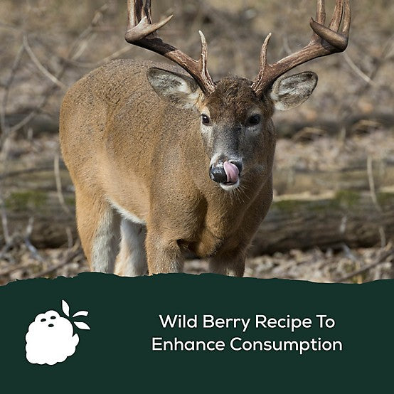 Record Rack 30 lb. BAM Big Antler Deer Mineral Block