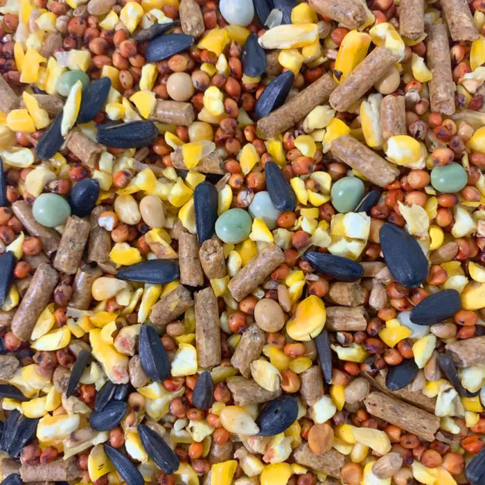 Gallo Campeon Conditioner 16%