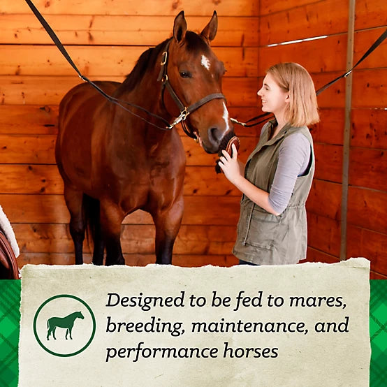 Nutrena Triumph® 12-8 Horse Feed