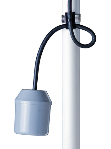 Pump Down Switch W/Pigy Bk Plg