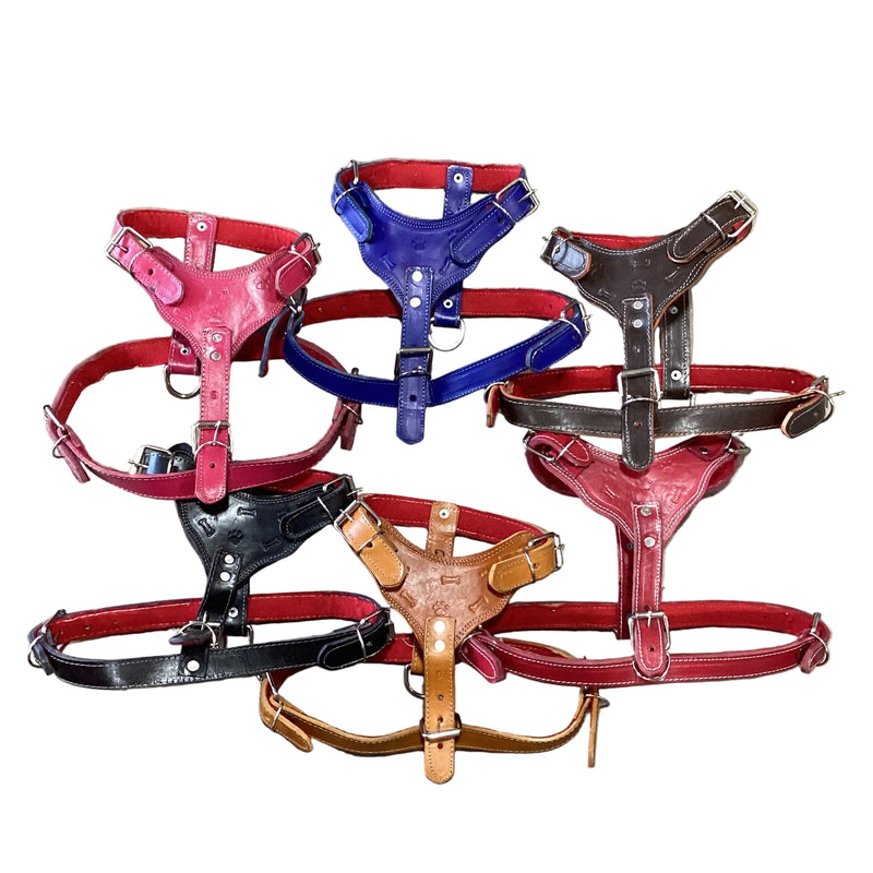 Leather Harness - Pechera de piel