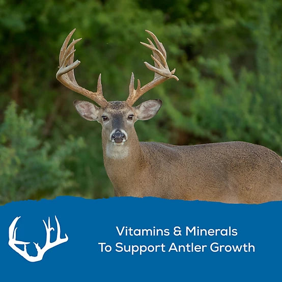 Record Rack 14% Protein Deer Block - 30 LB