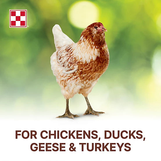 PURINA SCRATCH GRAINS - 50 LB