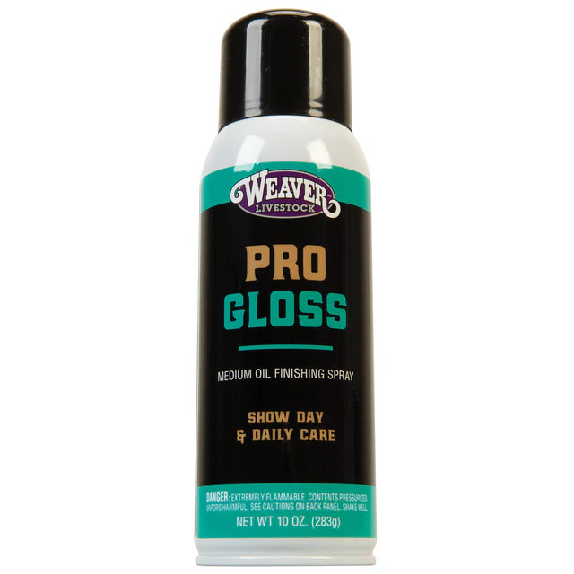 ProGloss Finishing Spray - 10 OZ