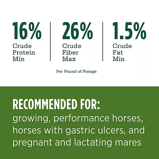 Standlee Premium Western Forage Alfalfa Hay Cube Horse Feed, 40 lb.