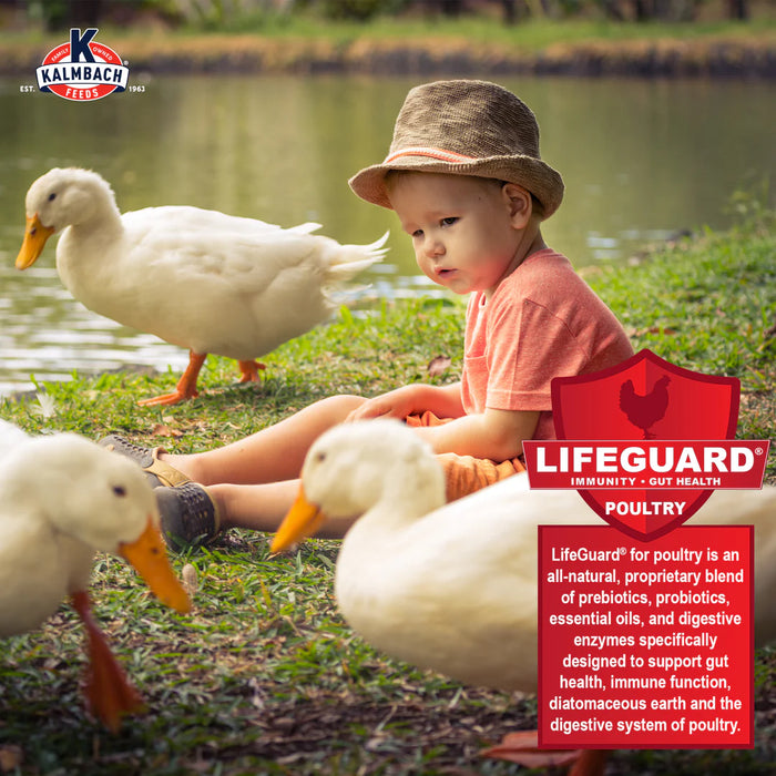 Duck, Goose & Swan Feed