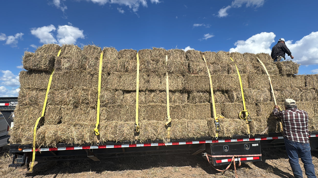 HAY ZAPATA - BUFFEL Hay Mix Orange twine / Paca de Zacate hilo naranja