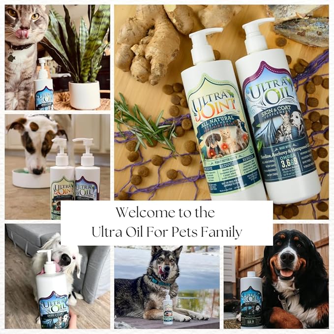 Ultra Joint - Liquid Joint Support Supplement for Dogs with Glucosamine & Chondroitin - Pain Relief from Arthritis & Inflammation - 8 OZ