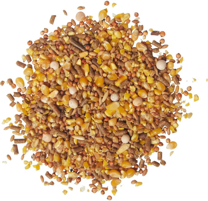 Bluebonnet Feeds Poultry Red Bag Conditioner 16% Protein Premium Formula Grain Bird Food, 50-lb bag