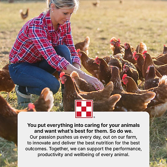 Purina Layena Layer Crumbles Chicken Feed