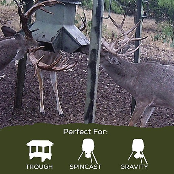 Record Rack Golden Deer Nuggets, 40 lb. Bag