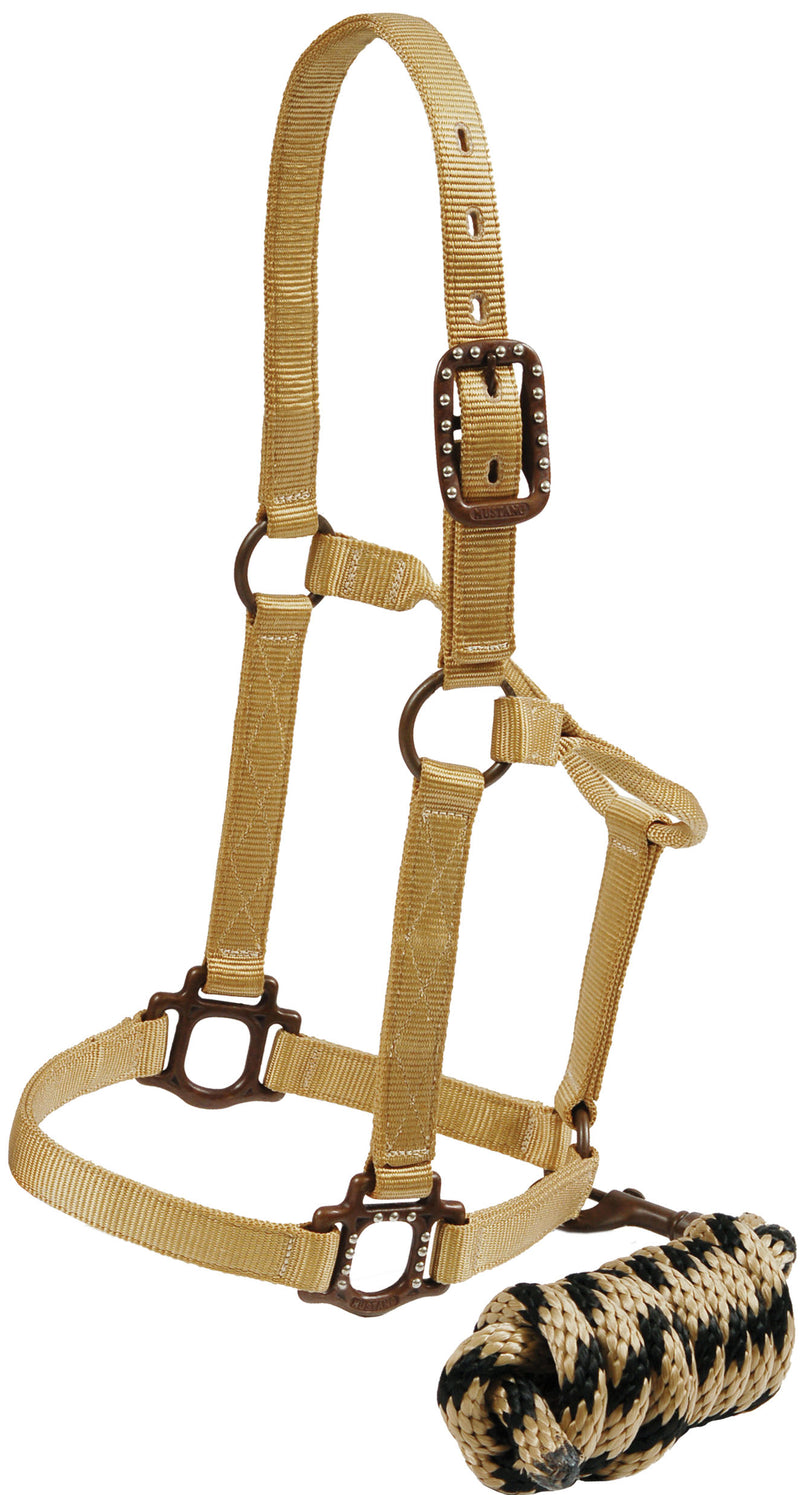 Antique Dot Halter 1" with Lead - TAN
