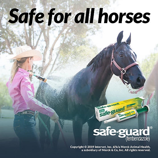 Safe-Guard: EQUINE PASTE - 25 GR