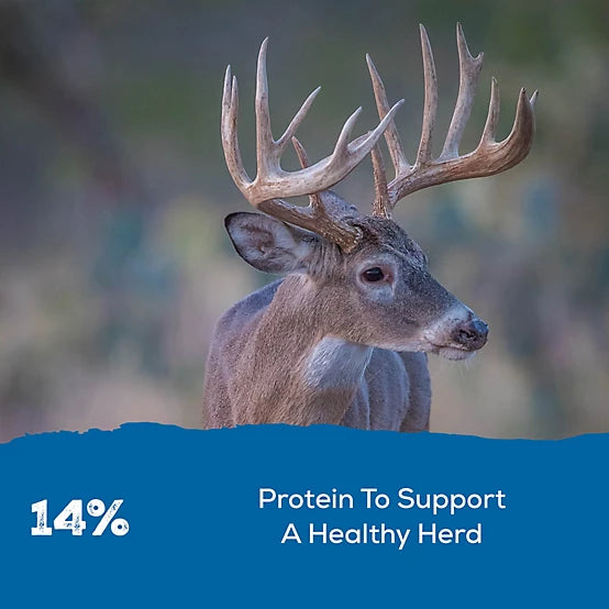 Record Rack 14% Protein Deer Block - 30 LB